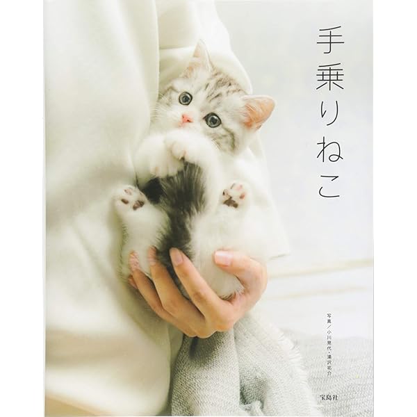 ねこもふ。でらっくす | 石橋 絵 |本 | 通販 | Amazon